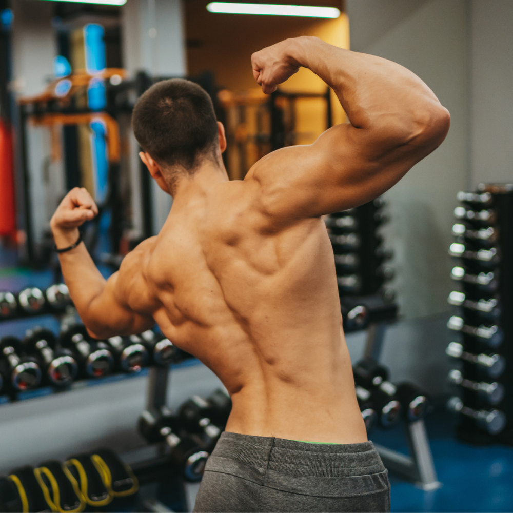 Want to Supercharge Your Back Training & Finally Grow Your Lats? Read This